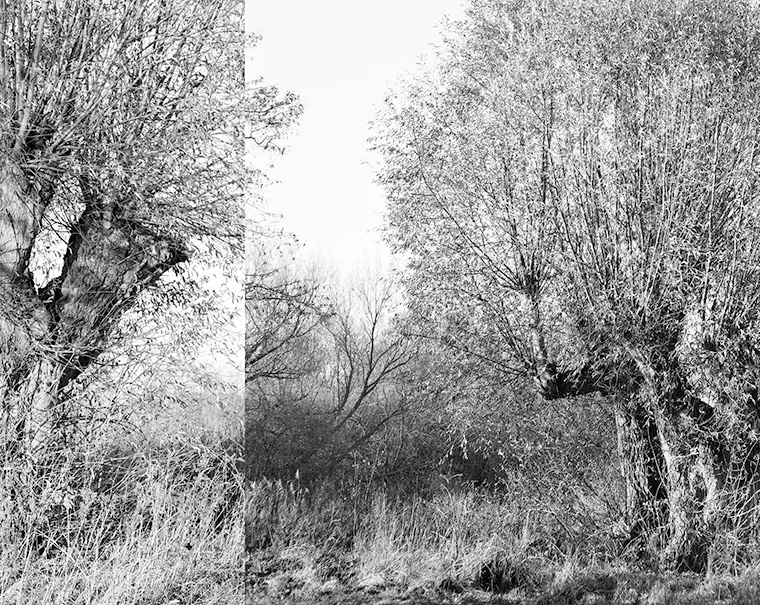 Publication du livre Résidant de Gilles Picarel, une collaboration avec Carolina Herrera Zamarrón et Coopérative de l'image, livre publié chez l'Harmatthan dans la collection Rétina Création dirigé par François Soulages avec la participation de l'association Cédragir